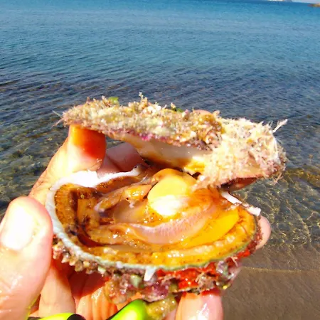 게스트하우스 Filoxenia By Grispos Villas 3*