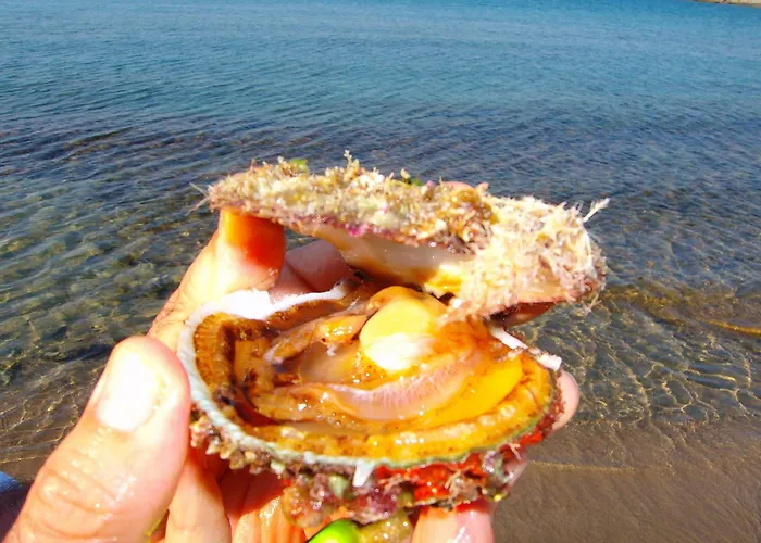 게스트하우스 Filoxenia By Grispos Villas 3*